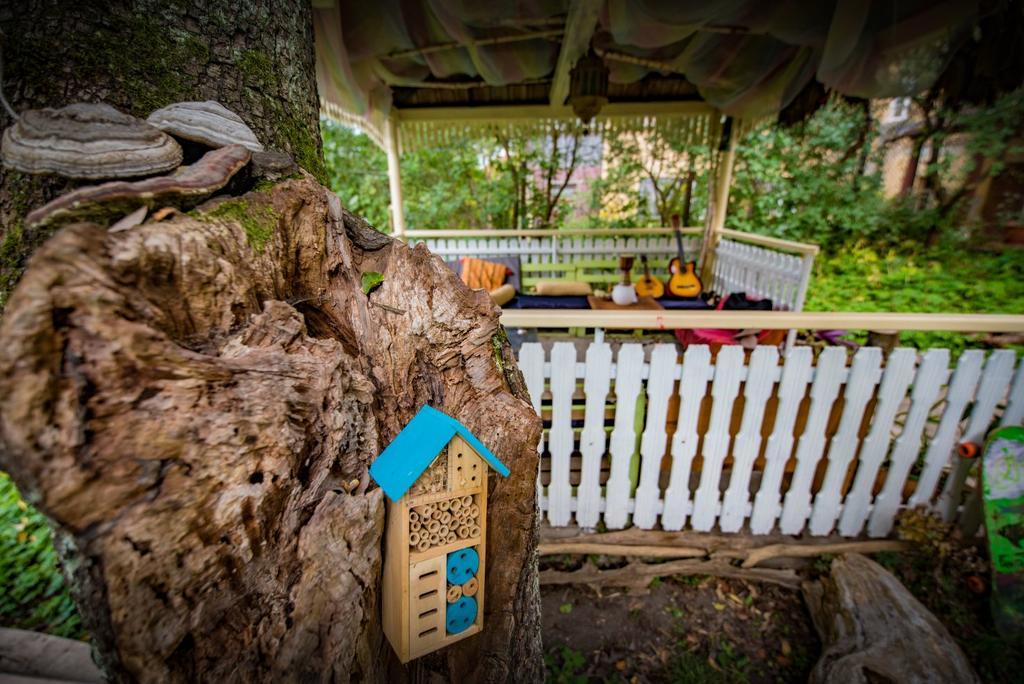 Mountain Tale Hostel Brasov Luaran gambar