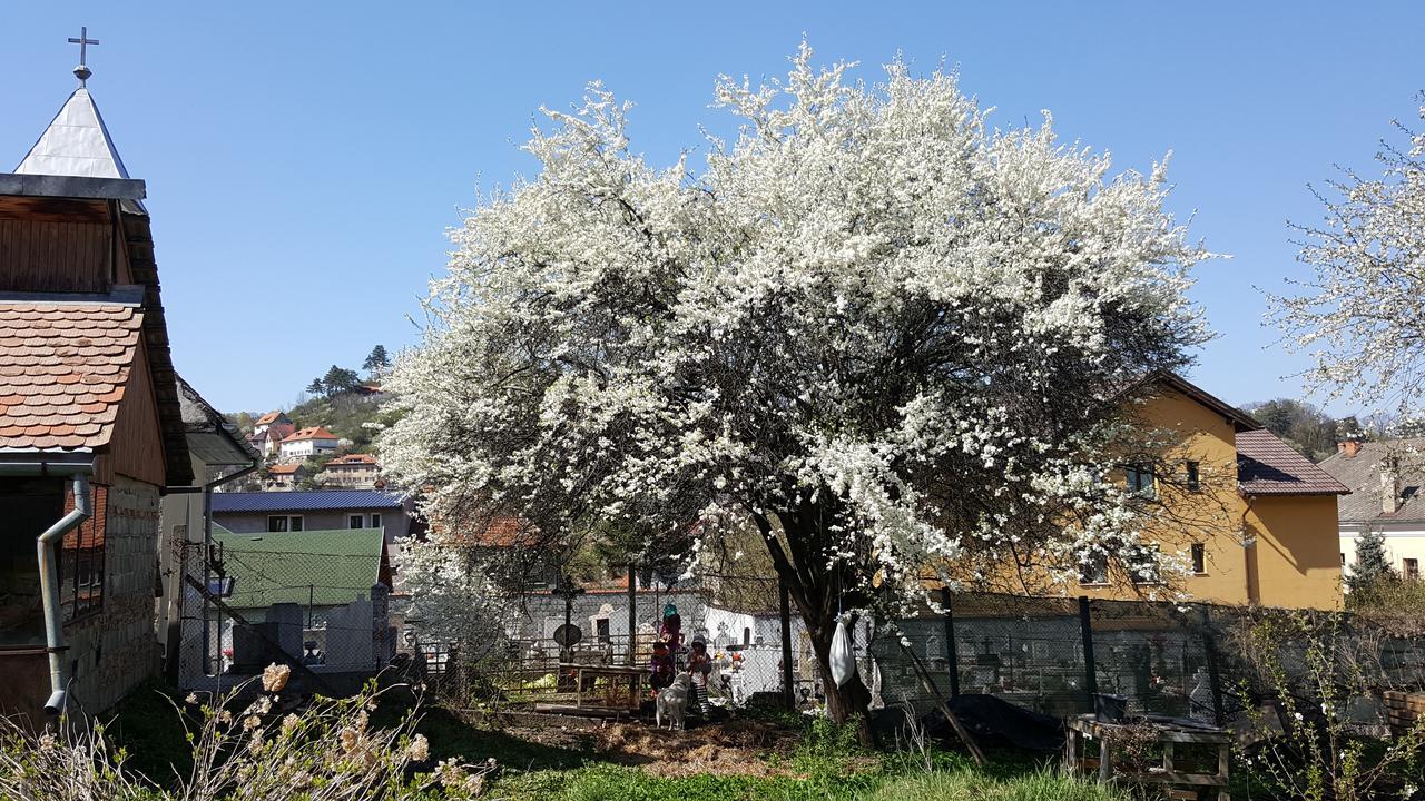 Mountain Tale Hostel Brasov Luaran gambar