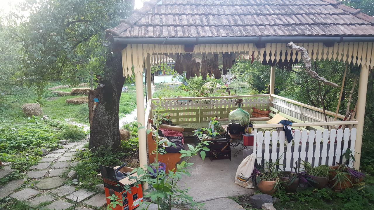 Mountain Tale Hostel Brasov Luaran gambar