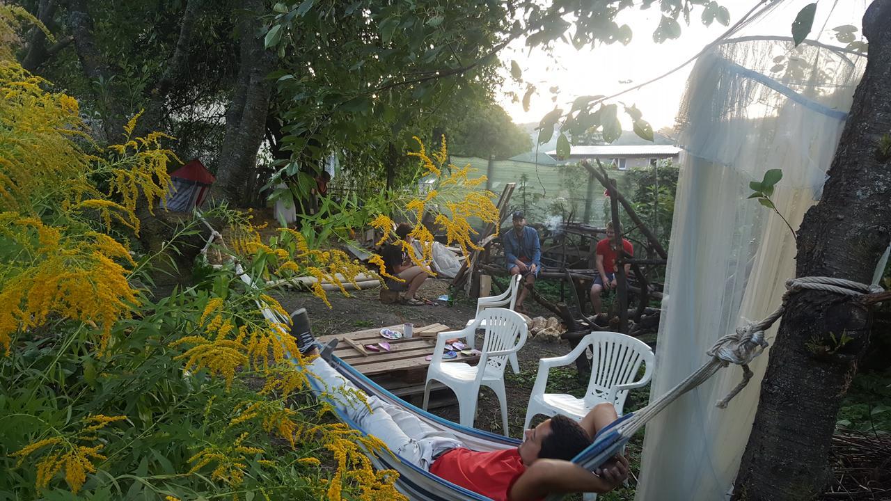 Mountain Tale Hostel Brasov Luaran gambar