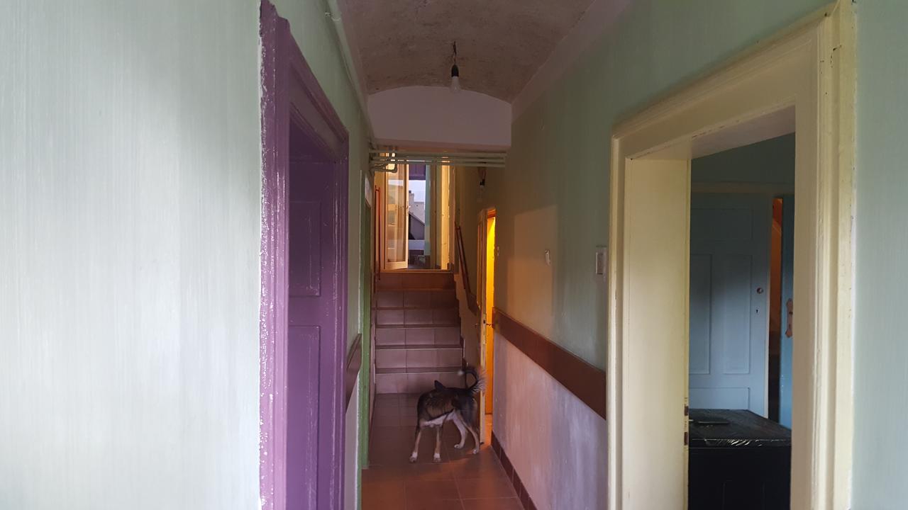 Mountain Tale Hostel Brasov Luaran gambar