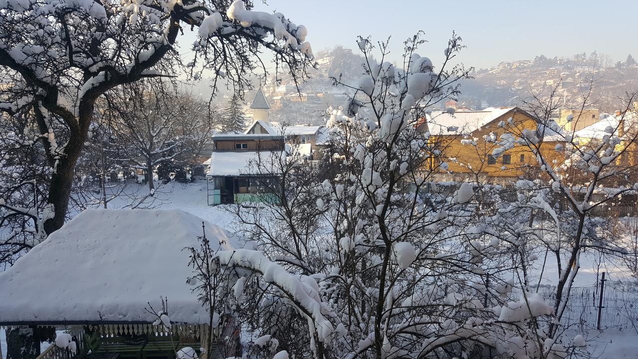 Mountain Tale Hostel Brasov Bilik gambar