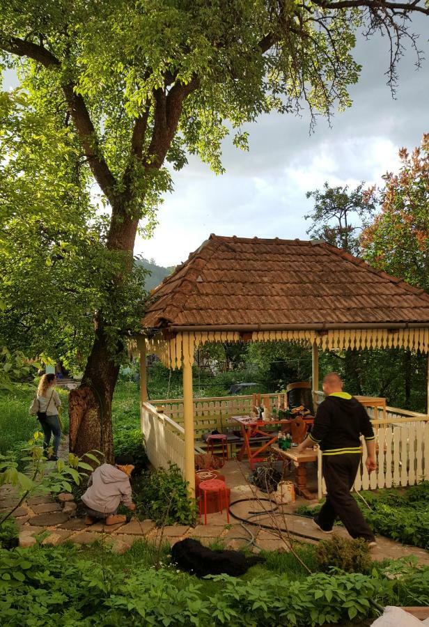 Mountain Tale Hostel Brasov Luaran gambar