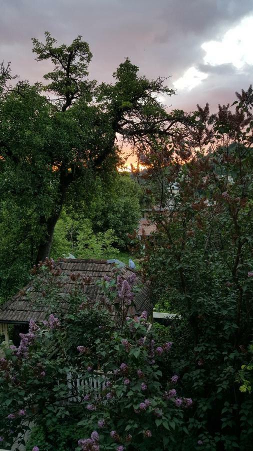 Mountain Tale Hostel Brasov Luaran gambar