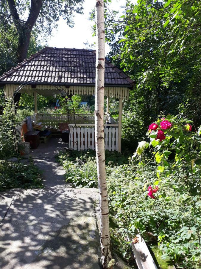 Mountain Tale Hostel Brasov Luaran gambar
